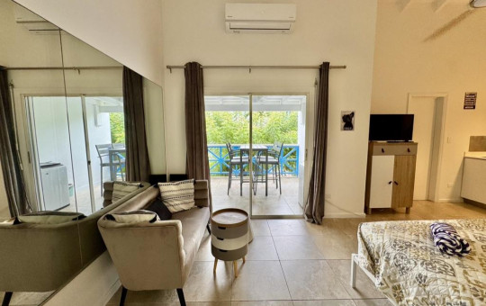 Pelican Modern Studio