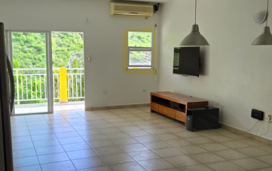 GUANA BAY 2 BEDROOM CONDO