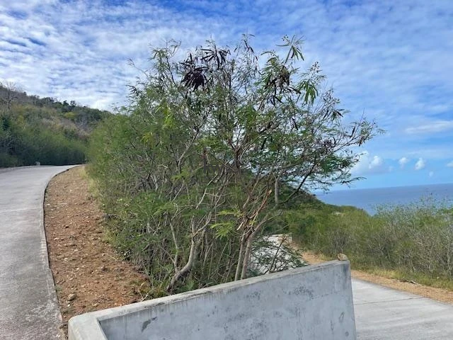 Land / plot in Cay Hill