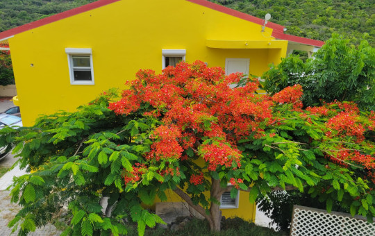 2 bedroom apartment - Off Guana Bay Road 2 bedroom apartment - Off Guana Bay Road